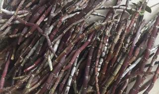 铁皮枫斗的价格 铁皮枫斗的价格